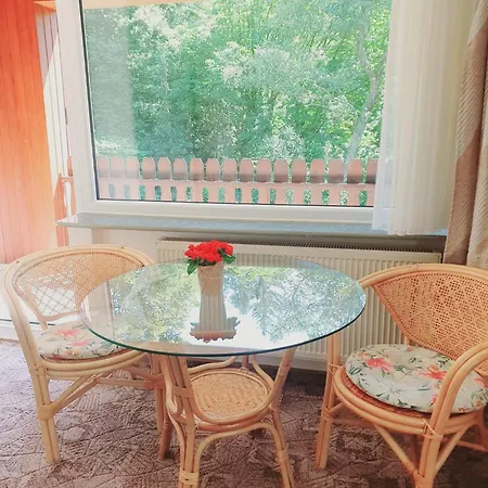 Apartmán Harzhaus Am Brunnen *