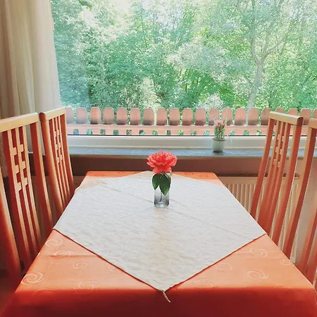 Harzhaus Am Brunnen Altenau (Lower-Saxony)