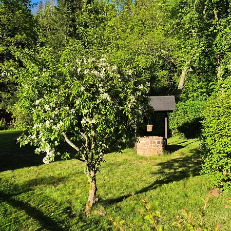 Harzhaus Am Brunnen