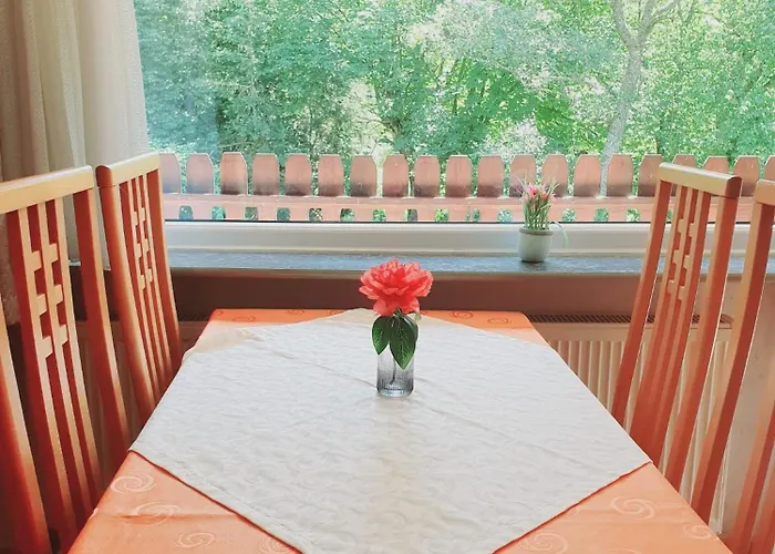 Harzhaus Am Brunnen Altenau (Lower-Saxony)