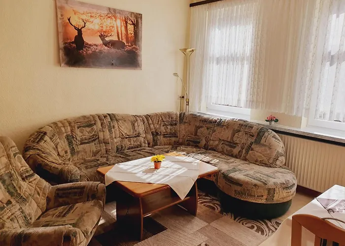 Harzhaus Am Brunnen Altenau (Lower-Saxony)